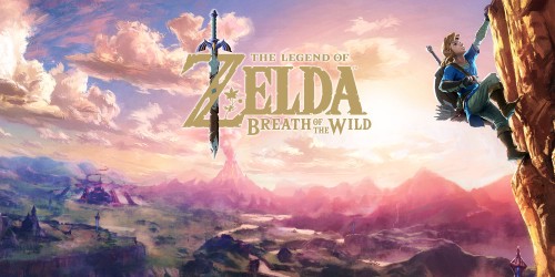  Legend of Zelda: Breath of the Wild, Nintendo Switch : Video  Games