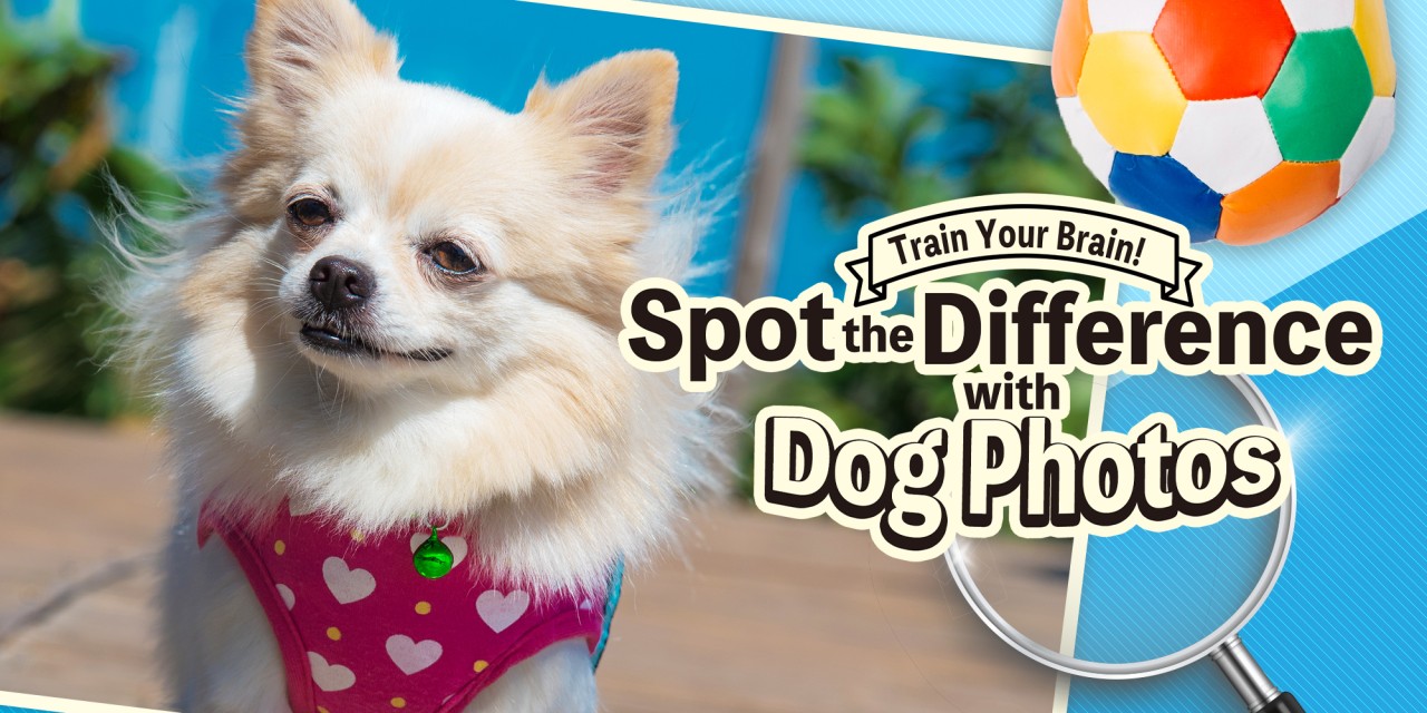 Train Your Brain! Spot the Difference with Dog Photos