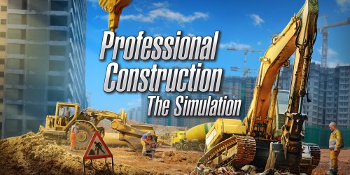 Professional Construction: The Simulation