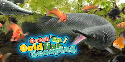 Catch 'Em! Goldfish Scooping