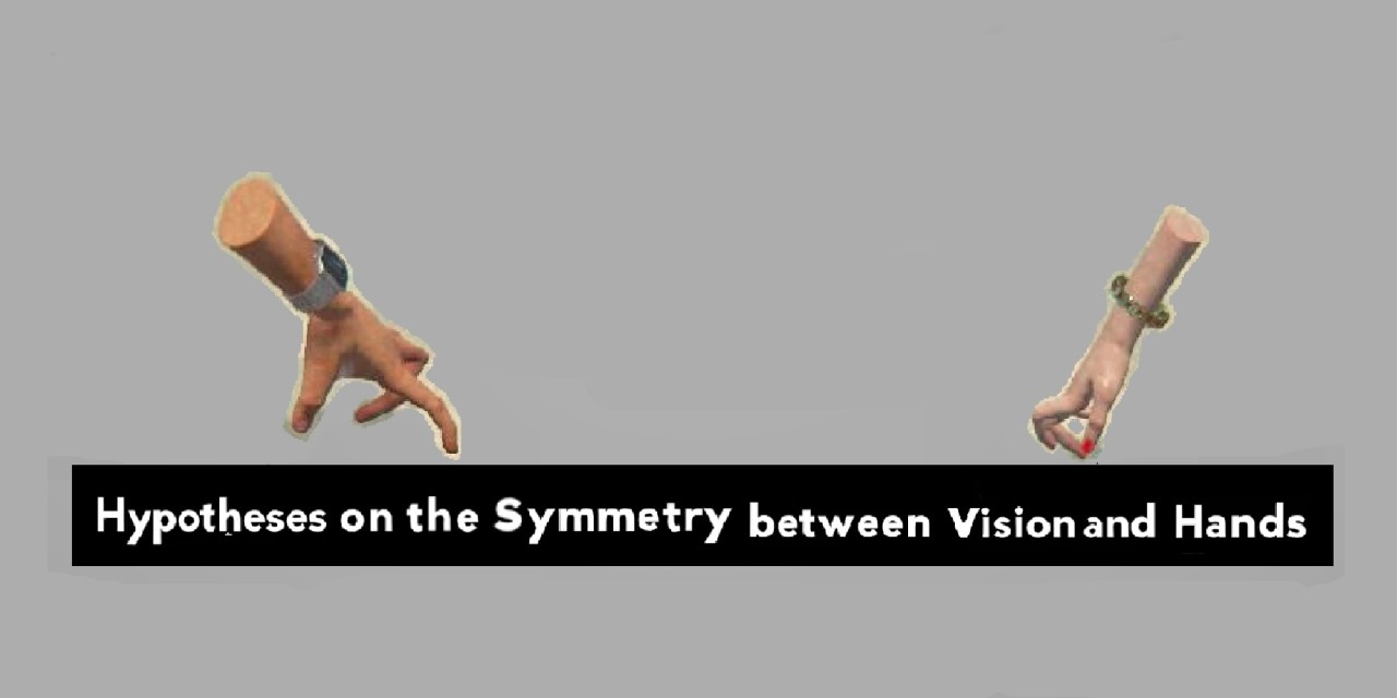 Hypotheses on the Symmetry between Vision and Hands