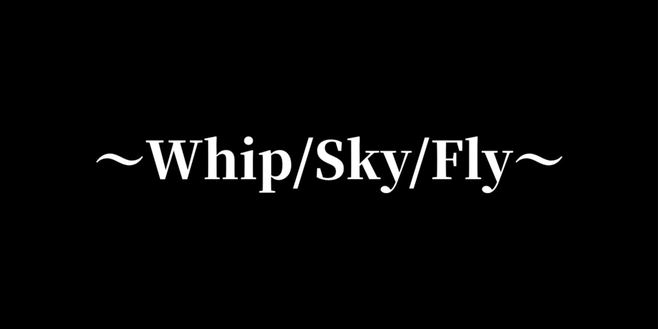 Whip/Sky/Fly
