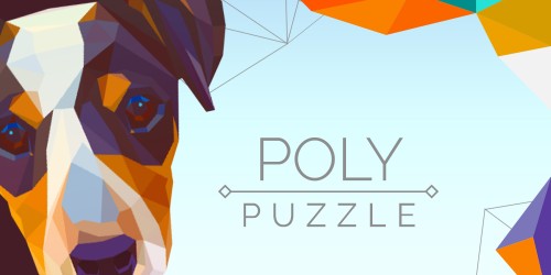 Poly Puzzle