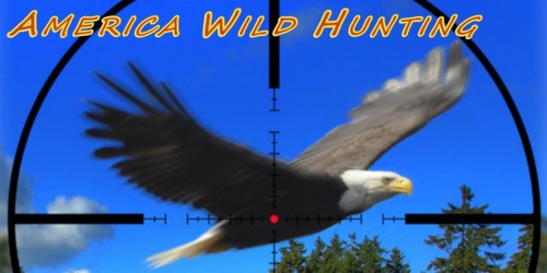 America Wild Hunting