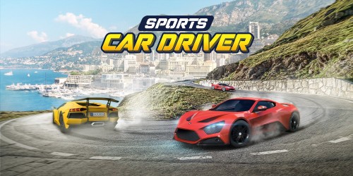 Sports Car Driver