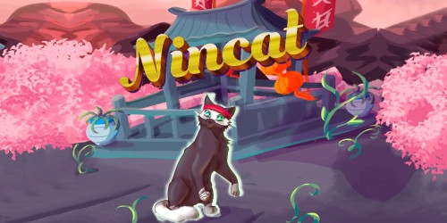 NinCat