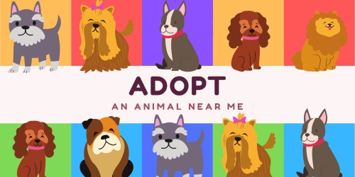 Adopt an Animal Near Me