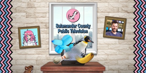 Salamander County Public Television