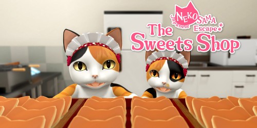 Japanese Nekosama Escape: The Sweets Shop