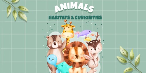 Animals: Habitats and Curiosities