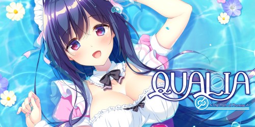 Qualia: The Path of Promise