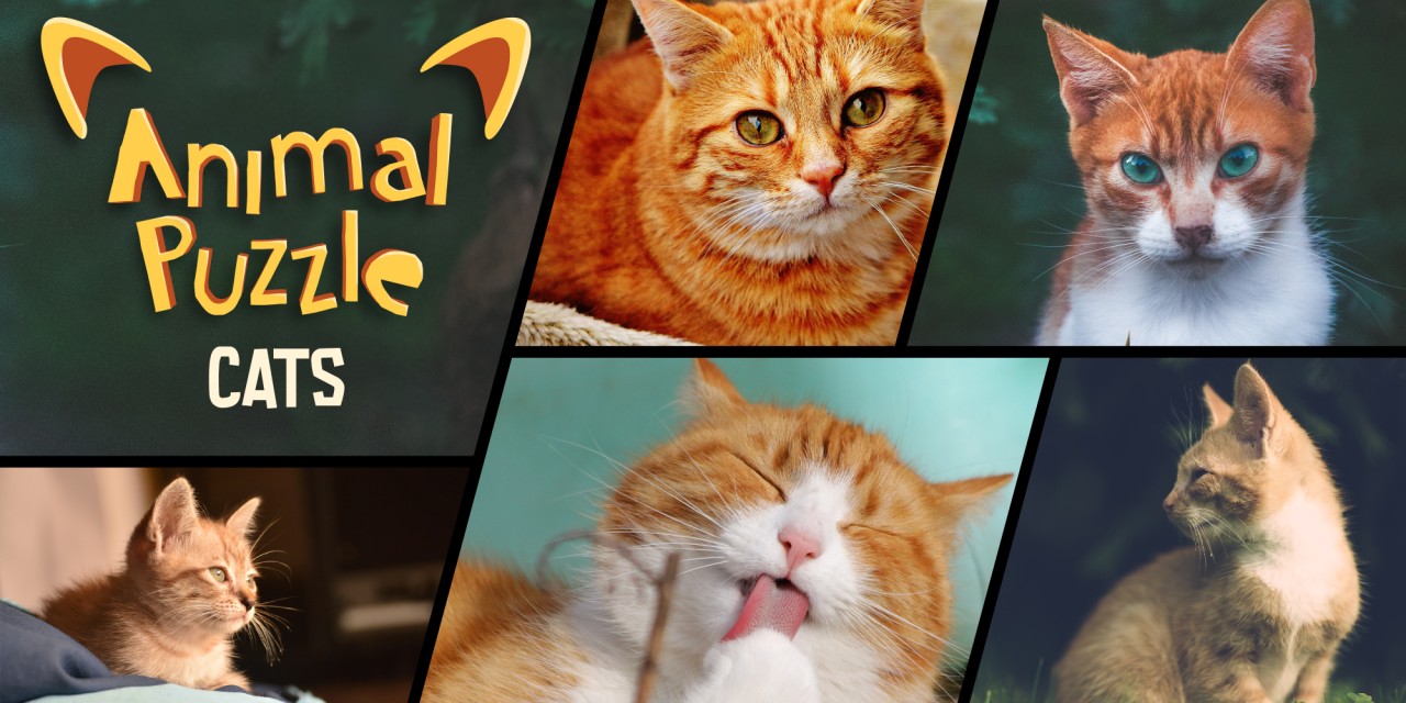 Animal Puzzle Cats