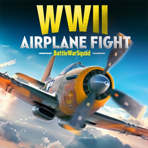 WWII Airplane Fight