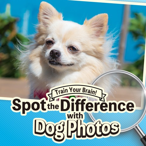 Train Your Brain! Spot the Difference with Dog Photos