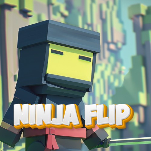 Ninja Flip