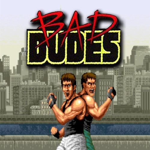 Johnny Turbo's Arcade: Bad Dudes