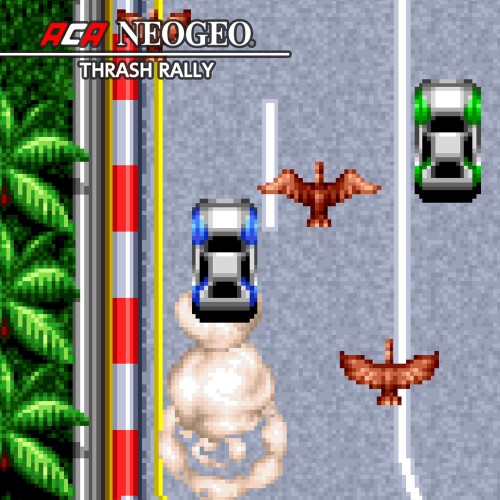 ACA NeoGeo Thrash Rally