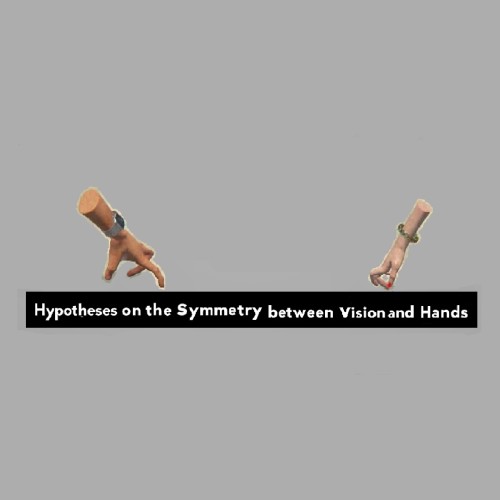 Hypotheses on the Symmetry between Vision and Hands