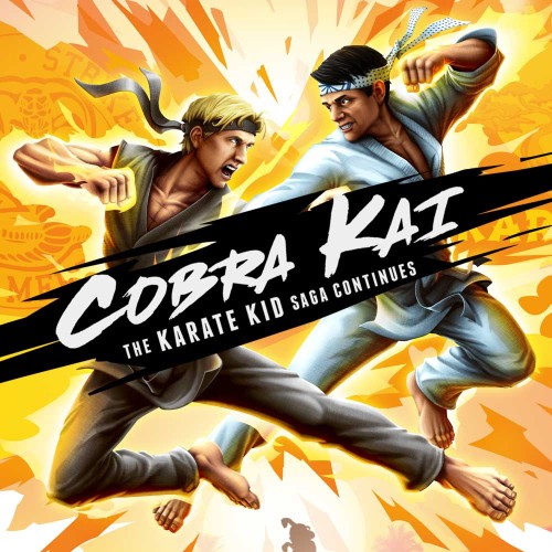 Cobra Kai: The Karate Kid Saga Continues