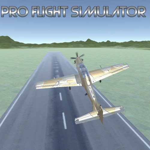 Pro Flight Simulator