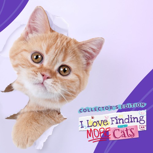 I Love Finding More Cats! - Collector's Edition