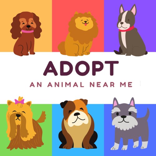 Adopt an Animal Near Me