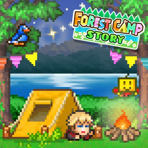 Forest Camp Story