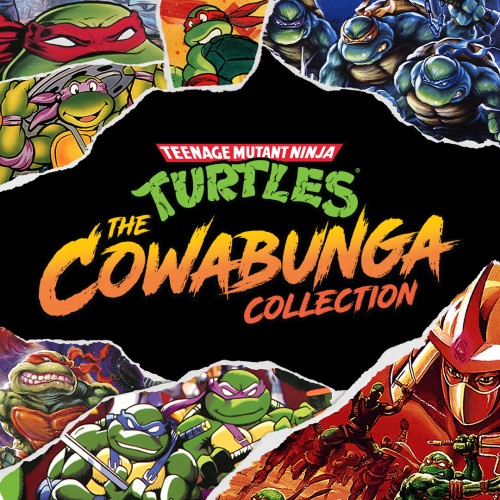 Teenage Mutant Ninja Turtles: The Cowabunga Collection