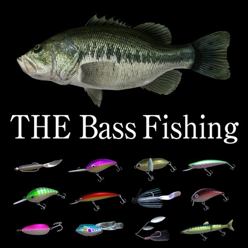 The Bass Fishing