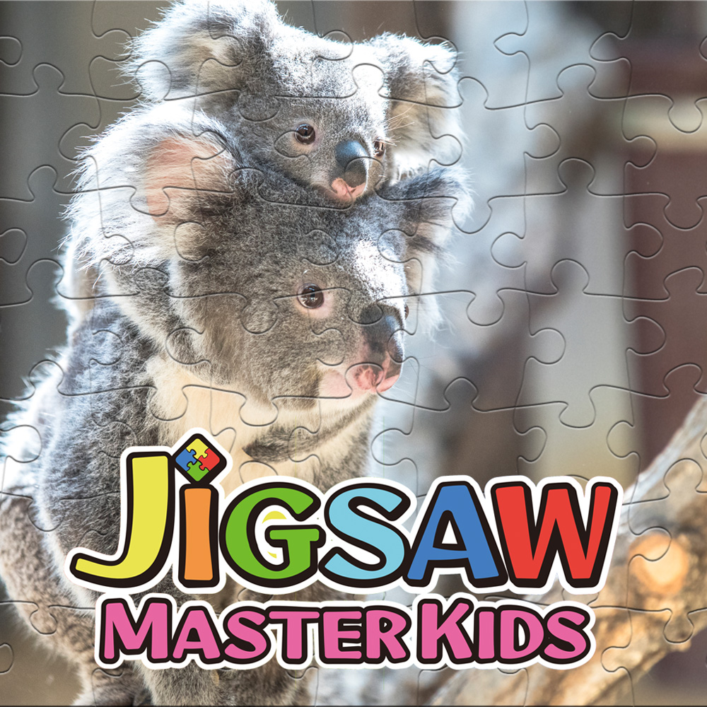 Jigsaw Master Kids