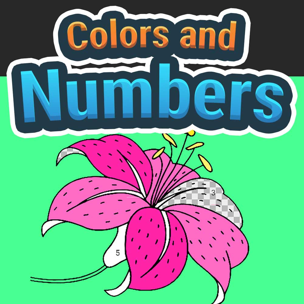 Colors and Numbers