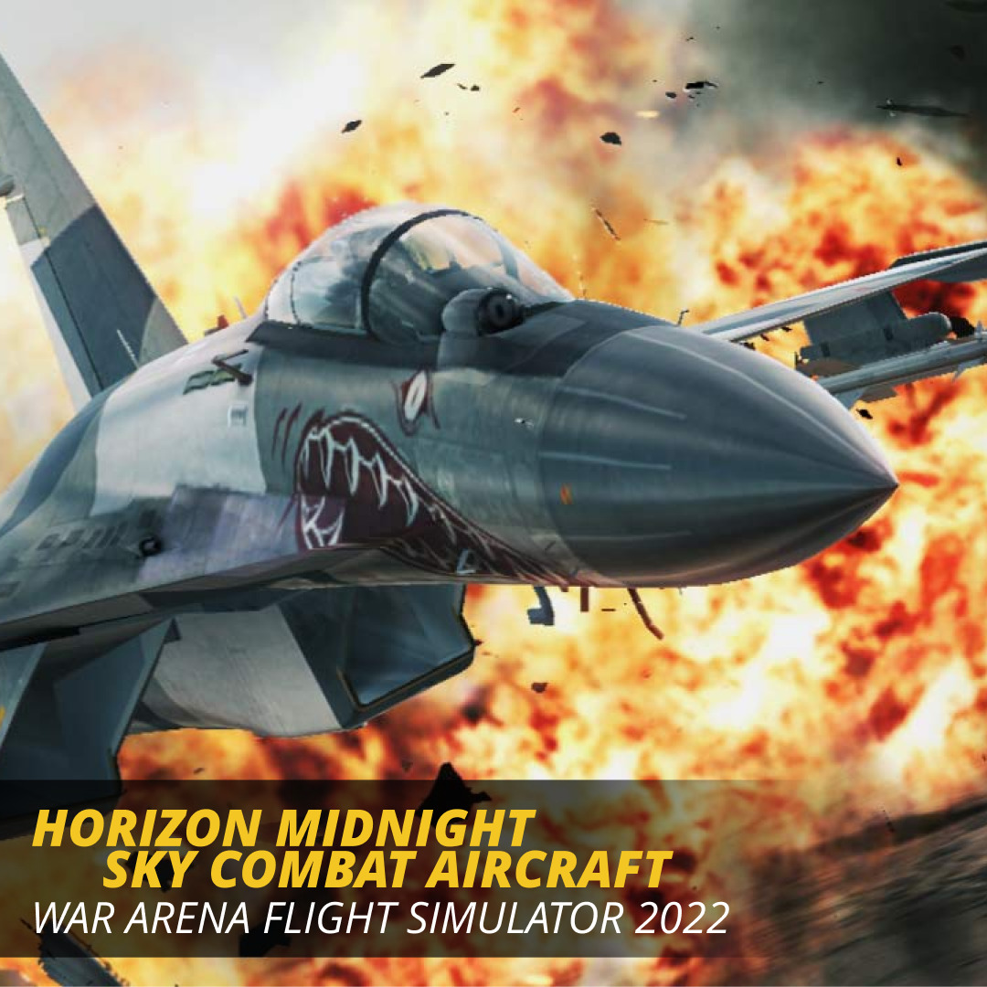 Horizon Midnight Sky Combat Aircraft