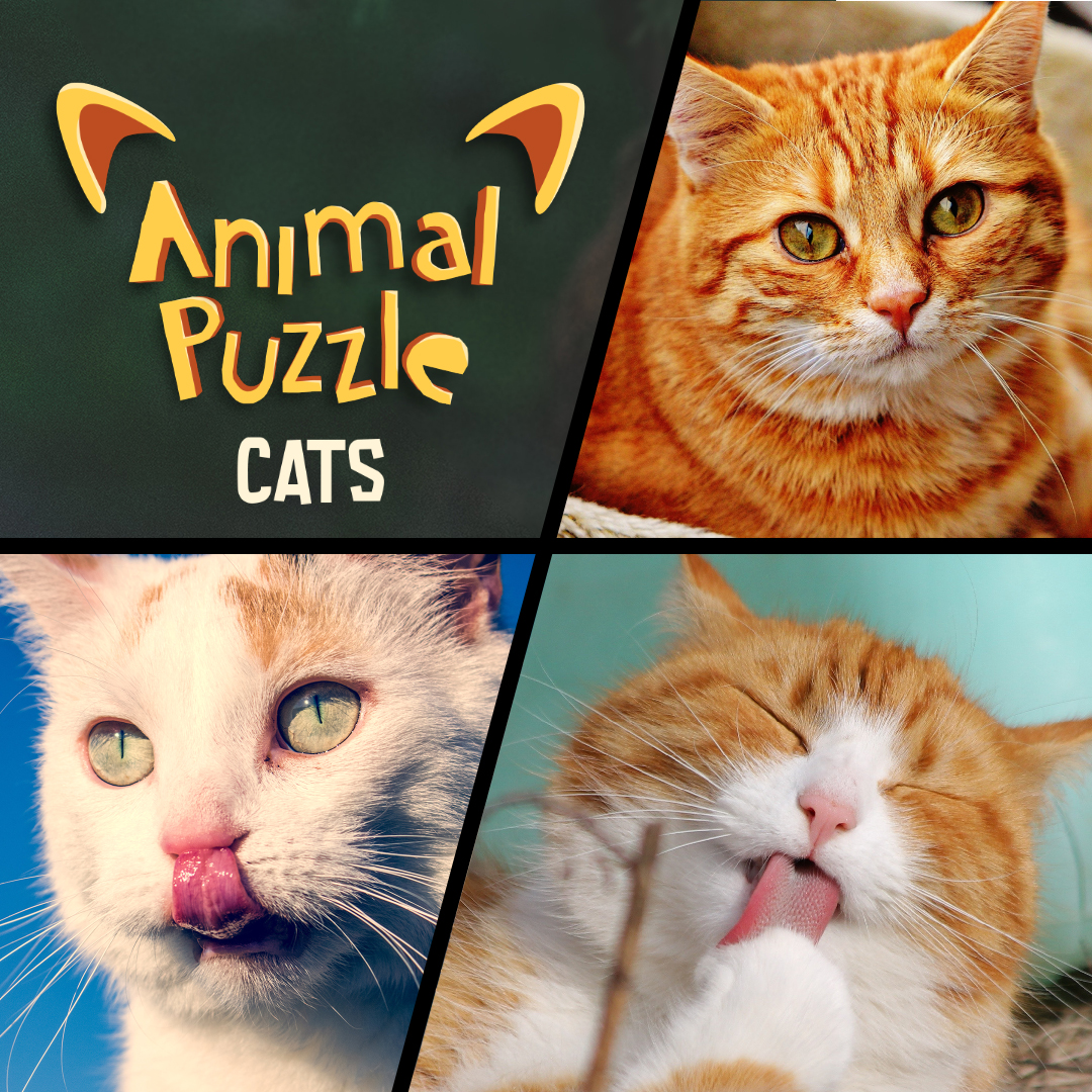 Animal Puzzle Cats