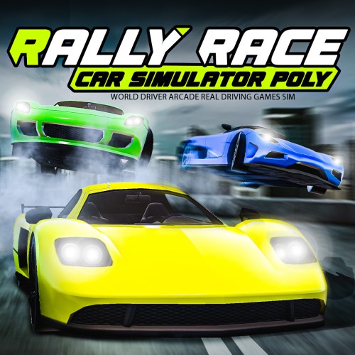 Rally Race Car Simulator Poly