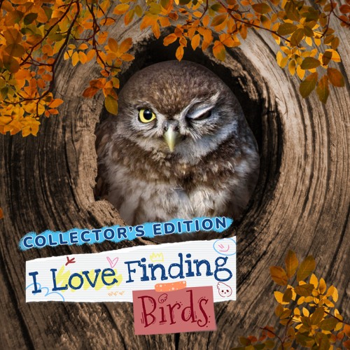 I Love Finding Birds: Collector's Edition
